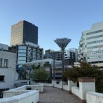 Wellington Central - February 2025